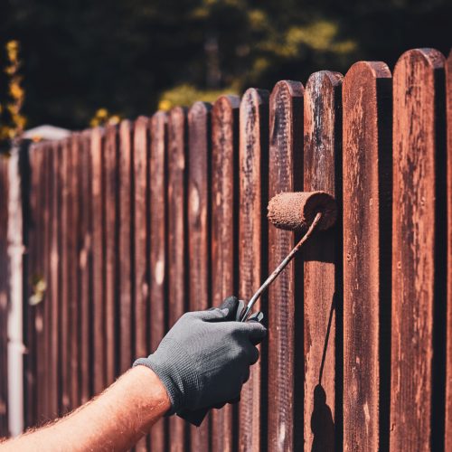 painting-or-staining-a-fence-which-ones-better